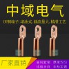 DT銅鼻子 堵油式 國標(biāo)紫銅線鼻子線耳 電纜接線端子 螺釘孔可定做