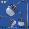 護欄法蘭彎管吊桿垃圾LED防爆燈油罐區發電站煤礦水泥化工廠三防平臺燈