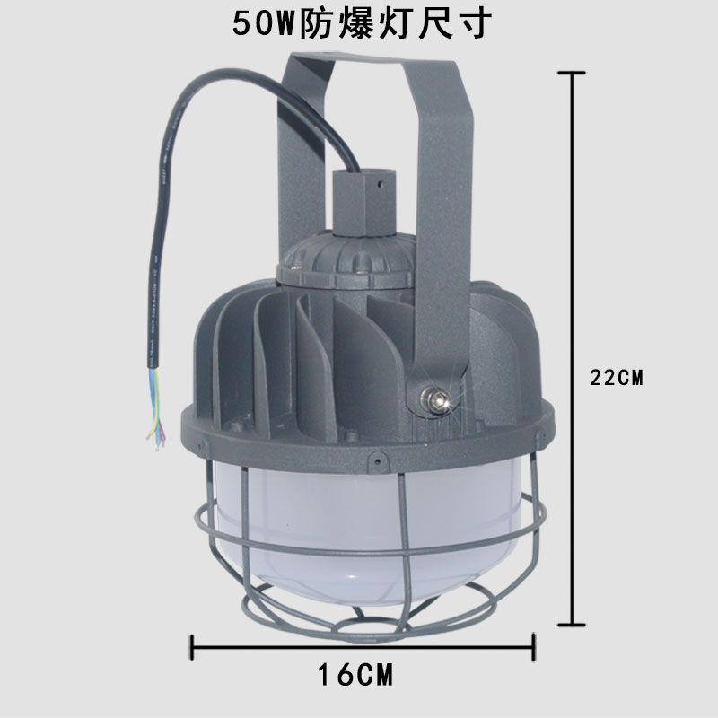 綠鯨無火花LED防爆燈50W