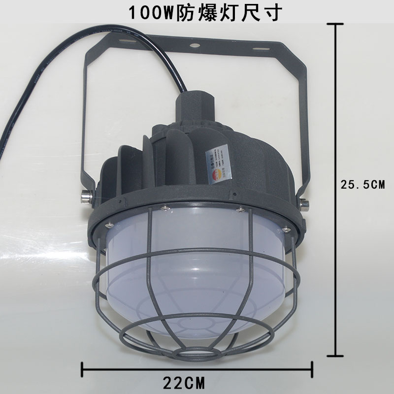 綠鯨無火花LED防爆燈100W