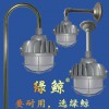 免維護節(jié)能垃圾焚燒發(fā)電廠化工廠防水防腐綠鯨無火花LED防爆燈