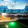 船用白色綠色藍色LED水下釣魚燈水下誘魚燈捕魚燈集魚燈聚魚燈