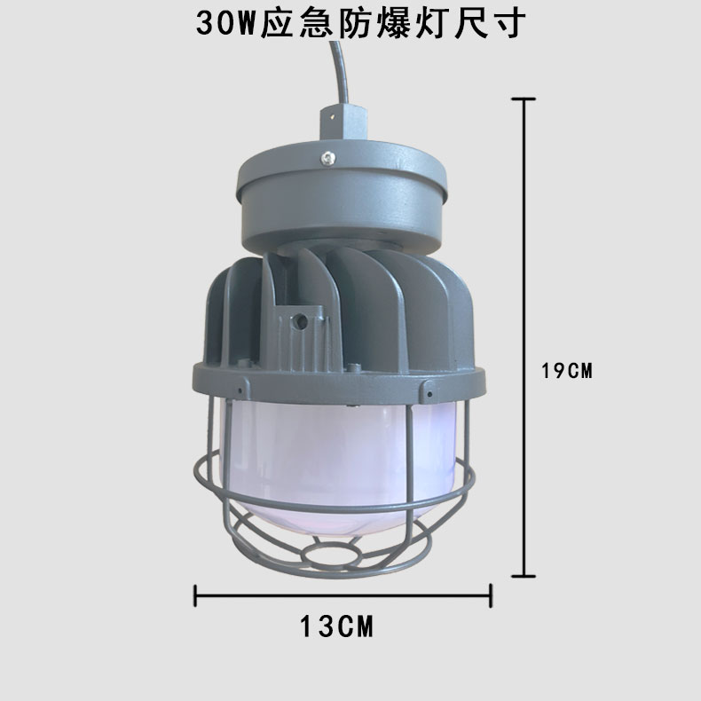 30WLED防爆應急燈(30WLED explosion-proof emergency lightl)