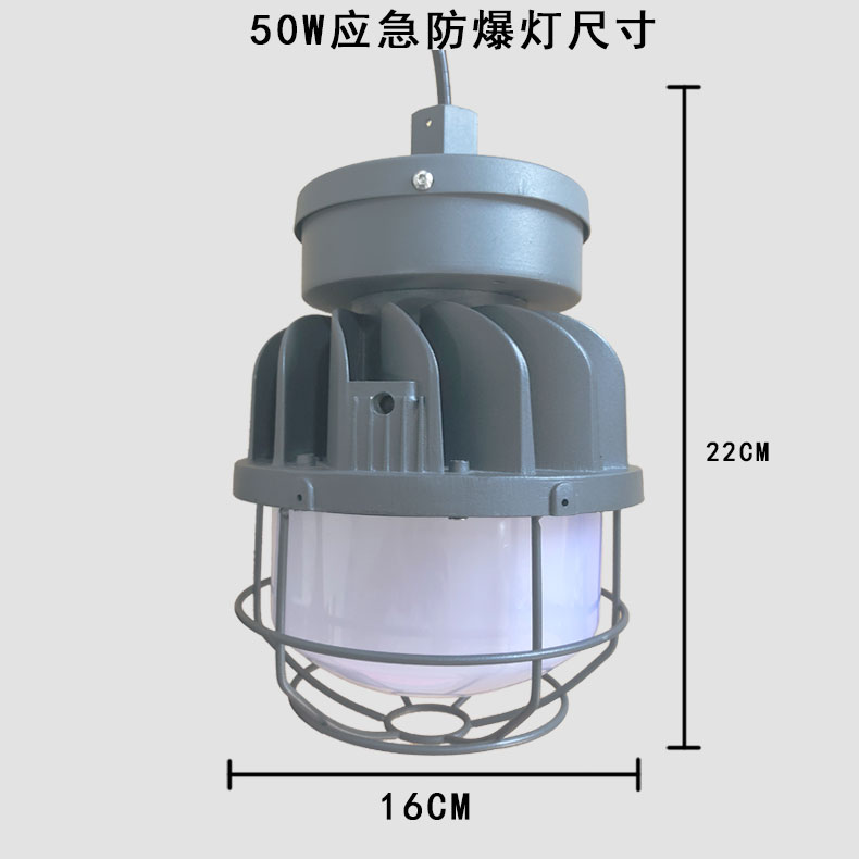 50WLED防爆應急燈 (50WLED explosion-proof emergency light)