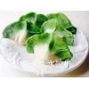 家用餃子機(jī)加工設(shè)備