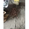現貨供應JL375-89定位管定位裝置供貨商