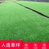 學校操場跑道草坪 塑料材質綠色地毯人造草坪仿真綠植物墻室內 草坪網圍擋