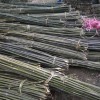 廠家出售各類1.5米2米2.2米菜架竿2.5米3米菜架竿批發