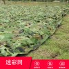 迷彩網 防航拍山體廠房違章建筑迷彩網 叢林偽裝網廠家直銷
