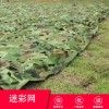 防航拍偽裝網迷彩網遮光網戶外叢林迷彩遮陽網布綠化防偽網軍綠色