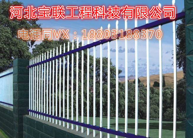 樣品