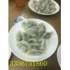 湖北炕餃子餃子機(jī)（煎餃子）