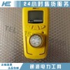 有毒、易燃、易爆氣體檢測儀出租出售生產商