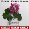 高透明亞克力板材整板定制有機玻璃加工123456810mmPMMA塑料板材裝飾材料定做