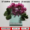 淺青色亞克力板定做高透明有機玻璃板材切割玻璃青色展示盒塑料板材任意零切雕刻