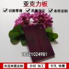 3 5mm紫色亞克力板定制半透明有機玻璃加工鏡面材料亞克力塑料板裝飾材料切割雕刻