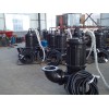 熱電廠污水處理廠大顆粒泥沙泵，砂石泵，渣漿泵