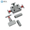 SAFELOK針閥IV16MBW316H/416-10-GP-ST/DN16的