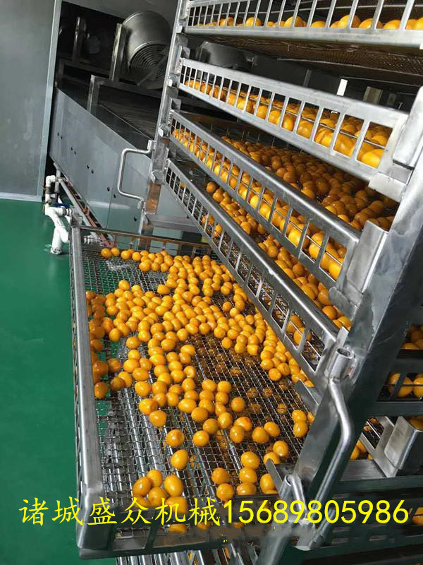 供應 全自動烤蛋鹵蛋煙熏爐 熏蛋煙熏爐 休閑食品煙熏爐 口感外觀好示例圖9