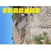 返利30寧波綠寶廠家生產(chǎn)渣土回填、臺州黃土再生二次 紹興固化黃土、寧波路液技術、舟山路液代替砂石