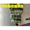 寧波黃土廠家道路水穩(wěn)層、鄞州底基層、鎮(zhèn)海生土再生、海曙熟土再生、北侖回填土、杭州灣基坑