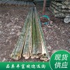 竹片（規格可定制）