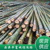 毛竹 菜架竹（規格可定制）品類多樣
