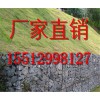 格賓籠廠 專業格賓籠廠家