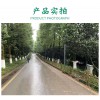 pvc護欄草坪護欄柵欄圍欄戶外花園圍欄庭院柵欄綠化欄桿塑鋼圍欄草坪護欄柵欄圍欄戶外花園圍欄