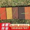 河南鄭州廠家直銷20010050/60紅色通體透水磚