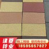 河南鄭州廠家直銷20010050/60紅色通體透水磚