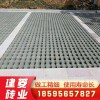 并字植草磚 混凝土植草磚 植草磚價(jià)格 廠家供應(yīng) 歡迎選購 量大從優(yōu)