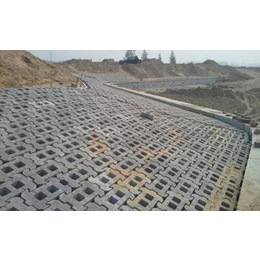 護坡磚 水工磚 連鎖磚 互鎖磚廠家直銷450-300-100河道專用示例圖5