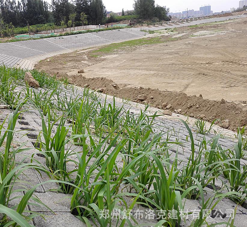 護坡磚 水工磚 連鎖磚 互鎖磚廠家直銷450-300-100河道專用示例圖7