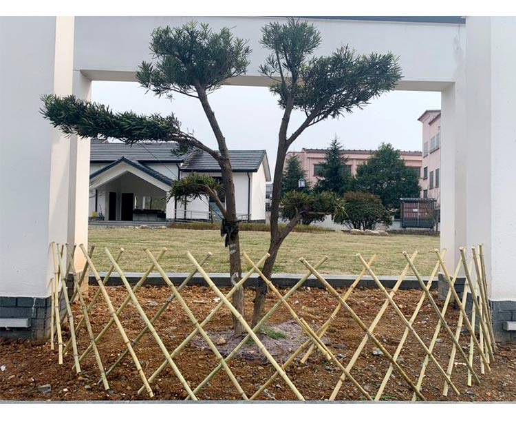 長沙開福pvc護欄馬鞍山博望竹籬笆哪家買