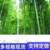 北海合浦縣籬笆網柵欄徐州鼓樓竹籬笆哪家好
