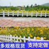 清遠連州菜園護欄閘北竹籬笆哪家好