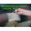 簡(jiǎn)單介紹地?zé)豳Y源的特點(diǎn)