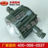 DGS12-127L(A)礦用隔爆型LED巷道燈