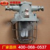 DGS40-127Y(A)礦用隔爆型(無極)熒光燈