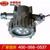 DGS18-127L(A)礦用隔爆型LED巷道燈