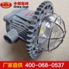DGS36-70-127L(A)礦用隔爆型LED巷道燈