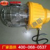 DGS70-127B(F)礦用隔爆型巷道燈