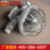 DGS20-30-127L礦用隔爆型LED巷道燈