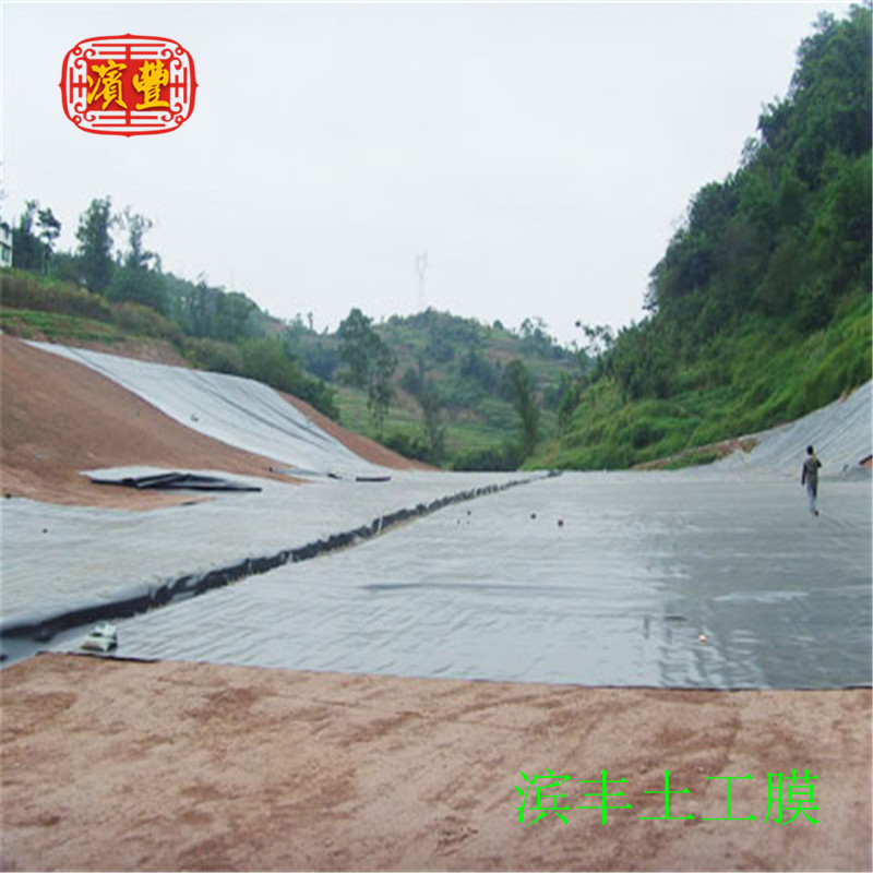 濱豐土工膜