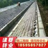 護(hù)坡磚 水工磚 連鎖磚 互鎖磚廠家直銷450-300-100河道專用