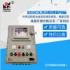 上海新黎明防爆配電箱BXM(D)可定做 多尺寸質量保證