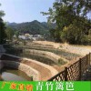 防腐竹片批發裝修裝潢裝飾竹條毛竹片黃竹塊楠竹片板