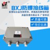 BJX防爆接線箱 防爆端子箱 防爆電箱 上海新黎明國標廠家定做尺寸