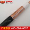 泄漏電纜生產廠家